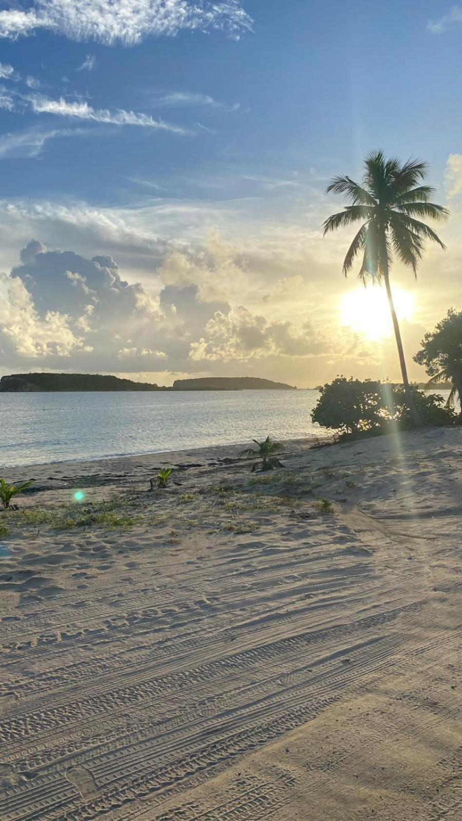 Casa Costa Sur Appartement Vieques Buitenkant foto